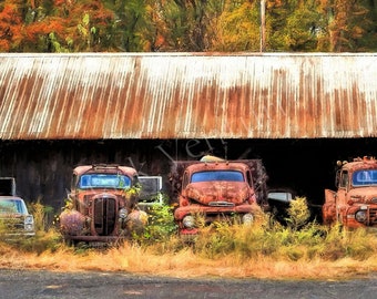 Ford Trucks, Three Rusty Trucks Art, Old Ford Truck, Old Chevrolet Truck, Vintage Trucks, Fine Art Photography, Junkyard Art, Garage Art,