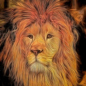 Lion Wall Art, Lion Print, Lion Art Print, Lion Abstract Wall Art, Lion Face, Male Lion Print, African Lion Print, Fine Art Photography