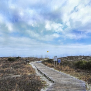 Huntington Beach South Carolina Print, Huntington Beach Wall Art, Fine Art Photography, Huntington Beach State Park Murrells Inlet Photo