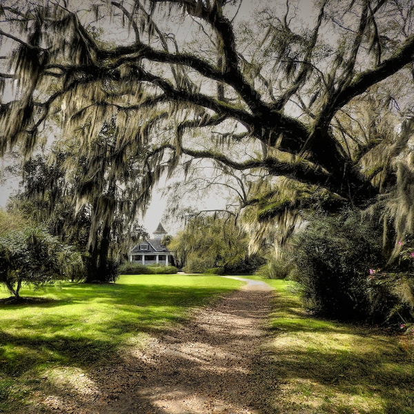 Magnolia Plantation Etsy Magnolia Plantation Etsy