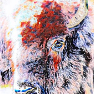 Buffalo Print, Bison Print, Buffalo Wall Art, Buffalo Portrait, American Bison Print, Buffalo Art, Bison Portrait Art, Buffalo Wall Decor