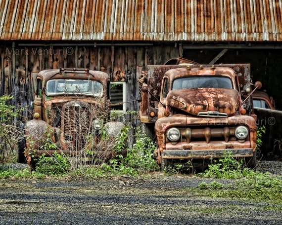 Two Old Trucks Print Ford Photograph Vintage Trucks Fine Art Photography Wall Art Junkyard Art Ford Truck Rust Photo Garage Art