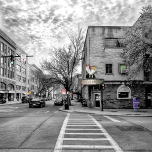 May include: A street scene in black and white featuring a crosswalk leading toward a brick building with a colorful rooster statue on the corner. The building displays the text CHANTECLER above the entrance, with a green window and purple trash bin.