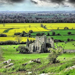 Hore Abbey Print, Hoare Abbey, St. Mary&#39;s Abbey Art, Fine Art Photography, Ireland Abbey Landscape, Ireland Wall Art Abbey Ruins Print,
