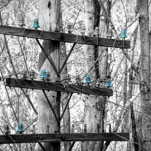 May include: A wooden utility pole with multiple blue glass insulators attached to it. The pole is surrounded by bare trees in a black and white setting.