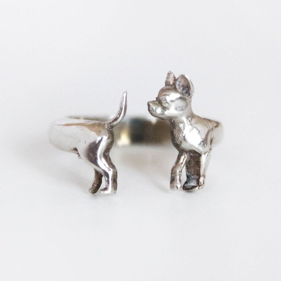 chihuahua ring