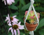 Mini terra-cotta Succulent rear view mirror car hanging accessory plant hanger mirror accessories cotton cord macramé planter tin bucket