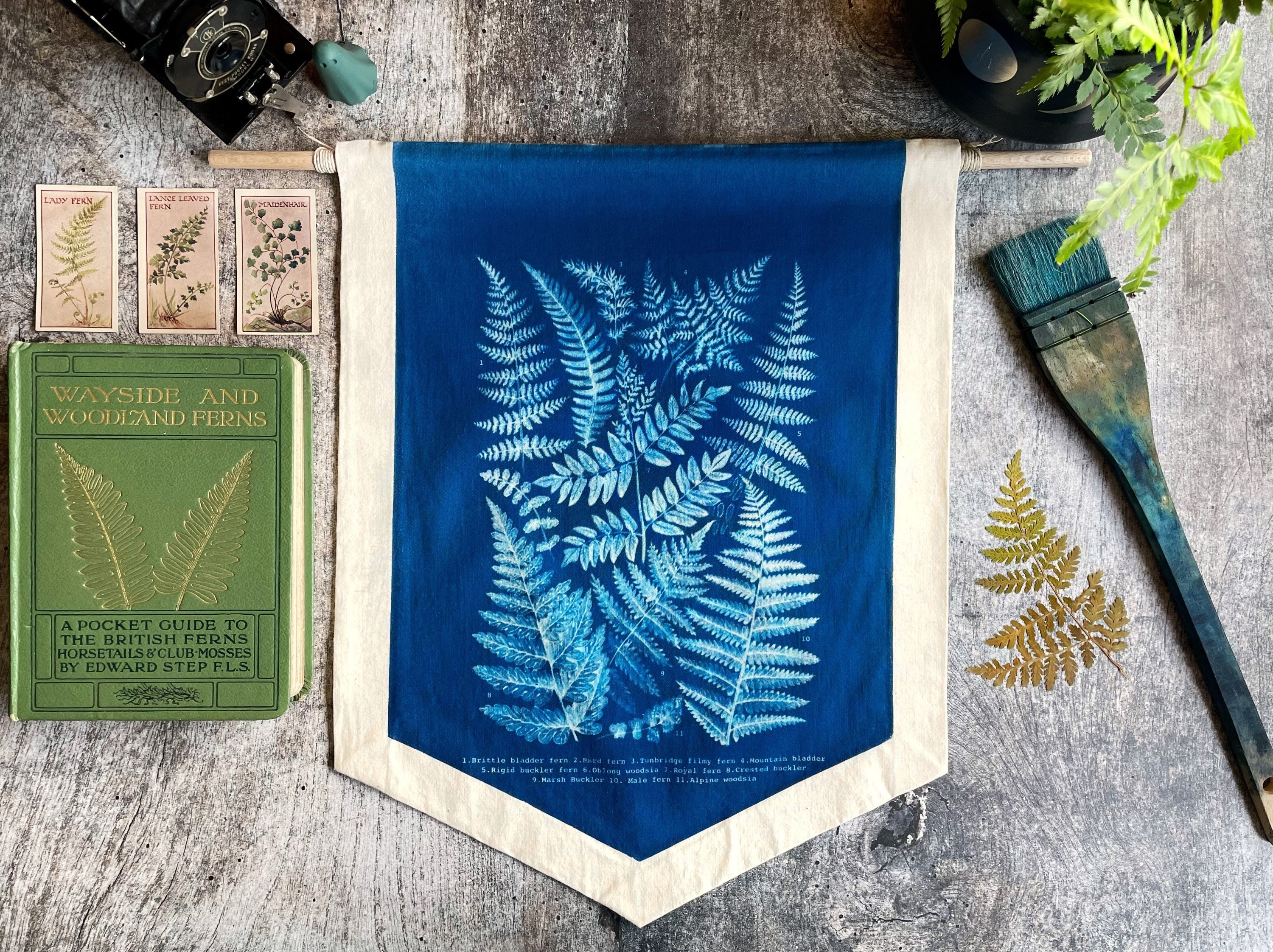 Fern Identification Chart Cyanotype Wall Banner Vintage Style Etsy