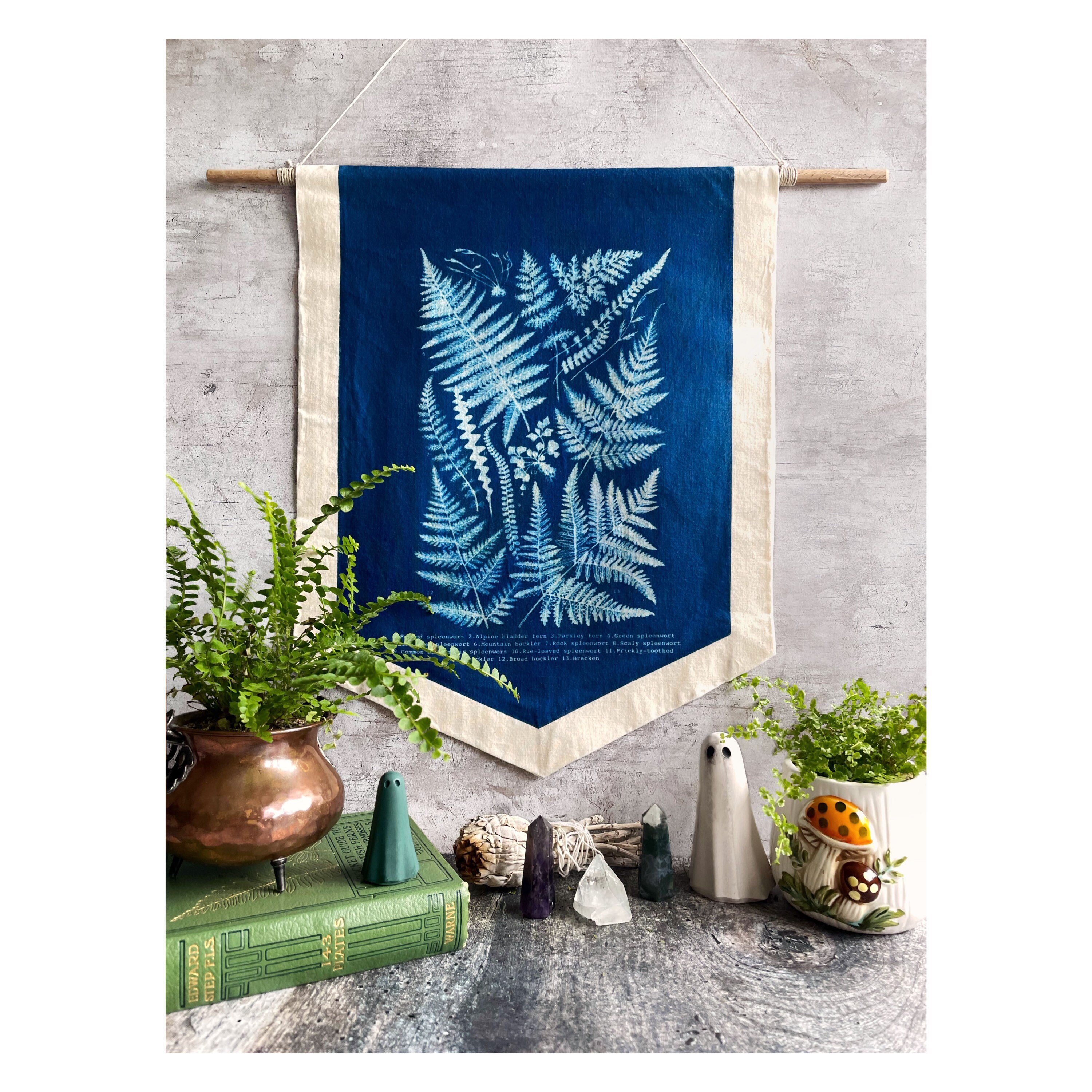 Botanical Fern Identification Chart Cyanotype Wall Banner Etsy