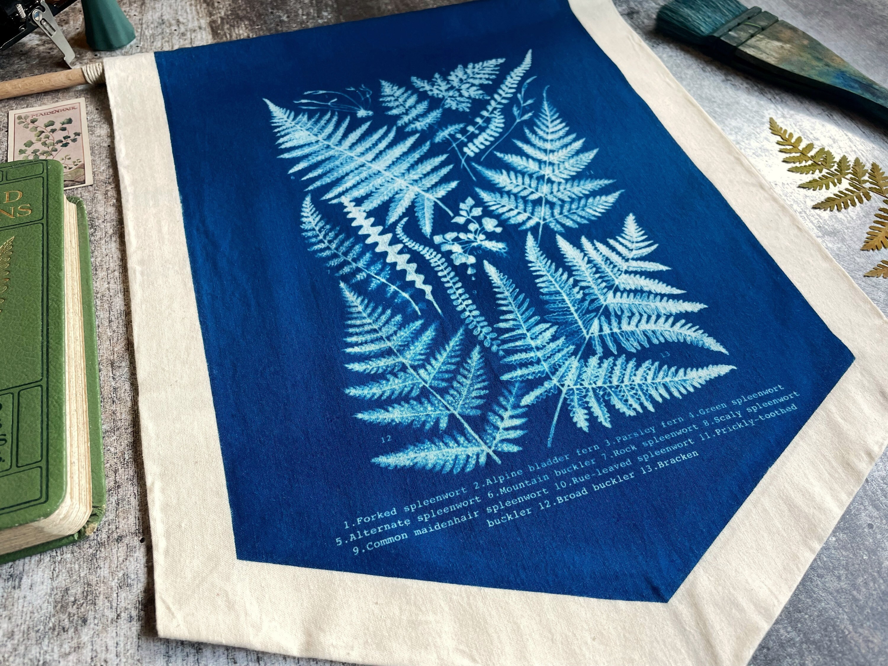 Botanical Fern Identification Chart Cyanotype Wall Banner Etsy