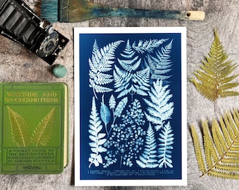 Botanical Fern Cyanotype Art Print, Vintage Natural History Plant Chart , Woodland Fern Diagram Wall Art, Victorian Botany Photography