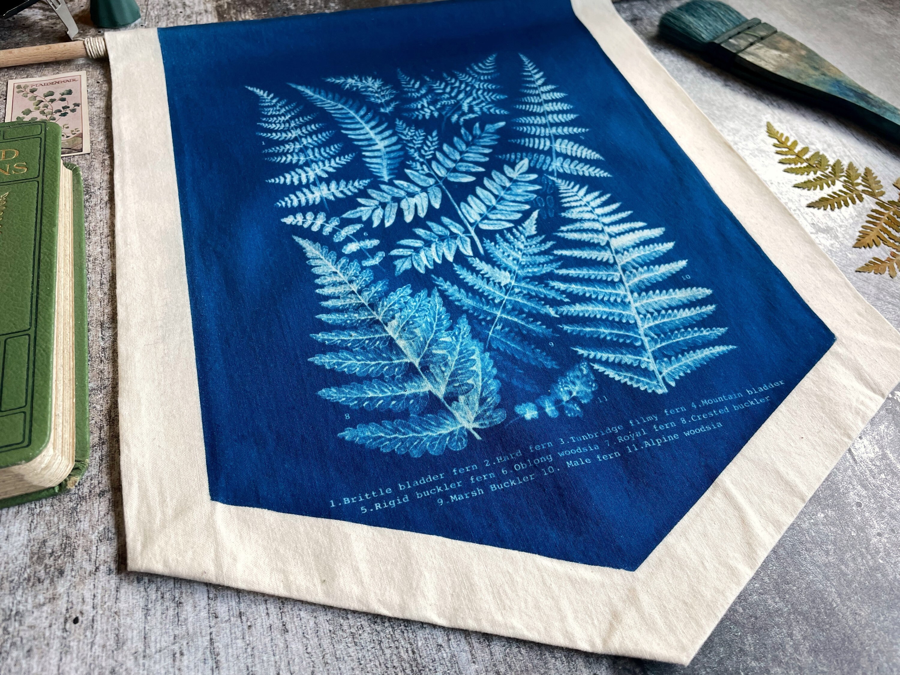 Fern Identification Chart Cyanotype Wall Banner Vintage Style - Etsy