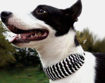 Trilobite Wide Weave // custom made paracord dog collar (regular/wide/X-wide)