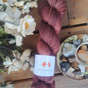 Yarn Destash - 100g Skein, The Little Foxes Knits, Fingering Weight Brown Yarn, Superwash Merino and Nylon Sock Yarn