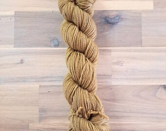 Yarn Destash - 100g Skein, Worsted Weight, Superwash Merino Wool, Earth Tonal Yarn
