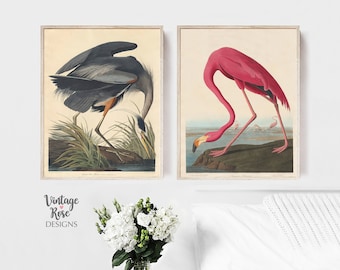 Vintage Bird Prints, Flamingo Print, Heron Painting, Pink and Green Wall Art, Vintage Wall Art, Vintage Birds Poster, Set of Bird Prints,