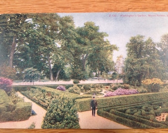 1909 Mount Vernon Virginia-Washington's Garden-Vintage Postcard