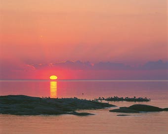 St-Lawrence River and sunrise on rocks and gulls at Les Escoumins, Haute-Côte-Nord