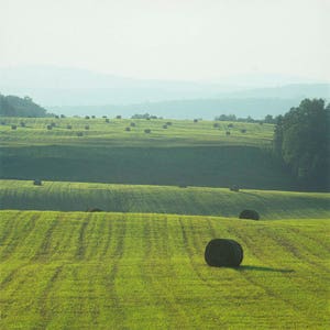 Hay bales  at the east of Matapedia plateau at Alverne near Baie-des-Chaleurs, Gaspe Coast