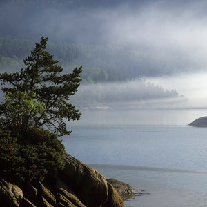Morning fog at Baie-des-Rochers, near Saint Lawrence-River, Charlevoix