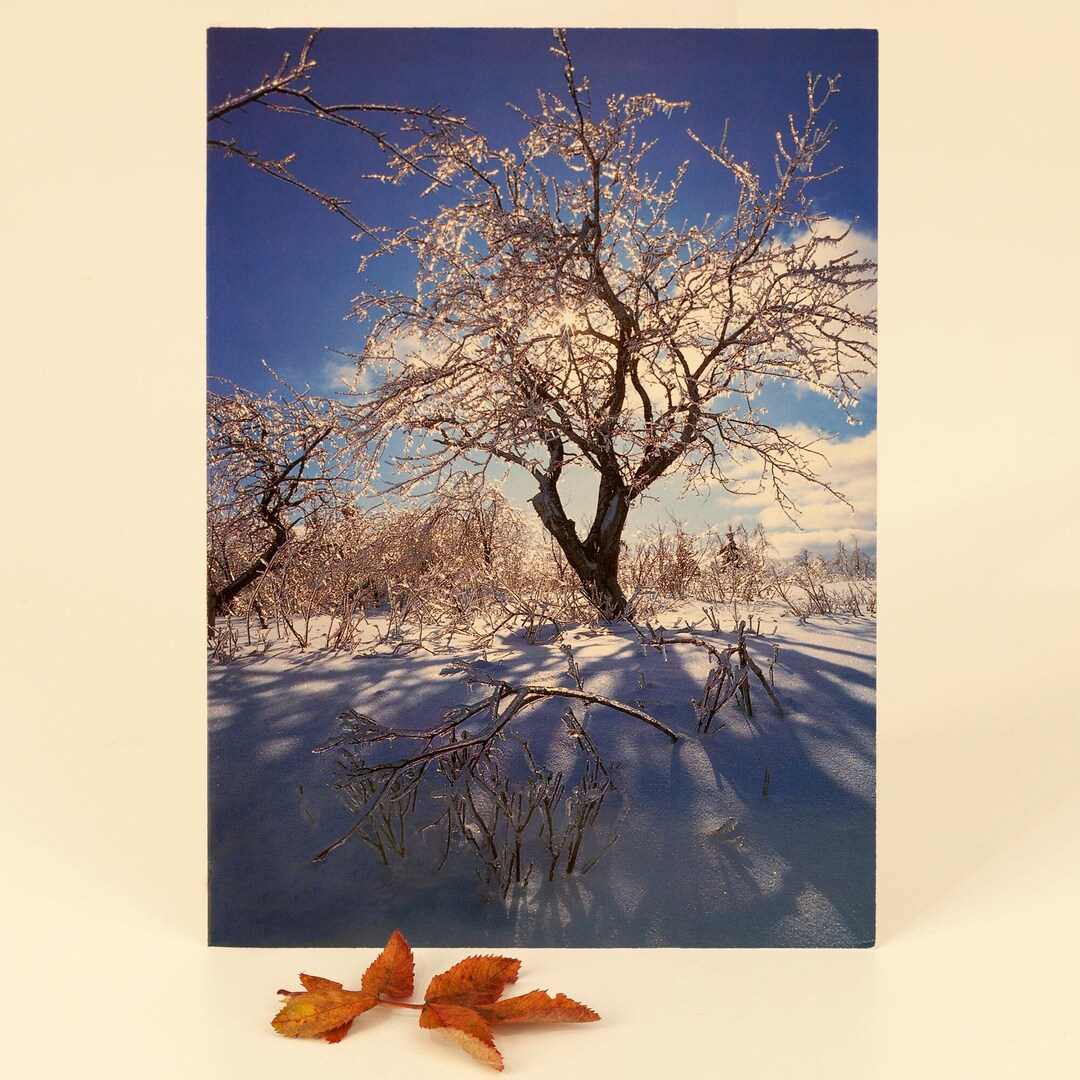 Tree Map Without Text Map Without Text Apple Trees in the Ice, S-20 - Etsy
