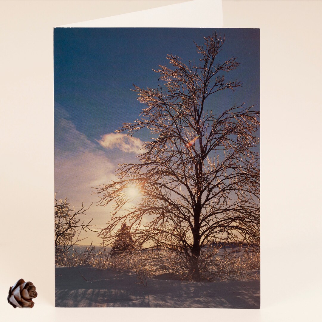 Tree Map Without Text Map Without Text Tree and Prism of Light in the Ice, S-21 - Etsy