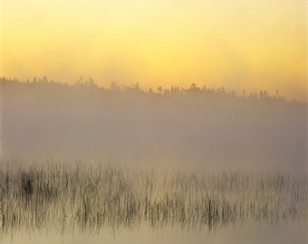 Foto impressie Zonsopgang en ochtendmist op rushes, Raquette Lake, Chaudière-Appalachians