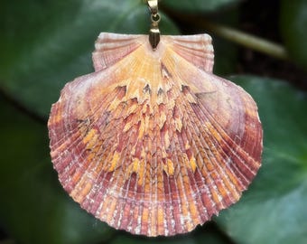Large Flat Scallop Shell Necklaces, Seashell Necklaces, Flat Scallops, Beach, Ocean, Mermaid, Shell Jewelry, Seashell Jewelry, Made in Idaho
