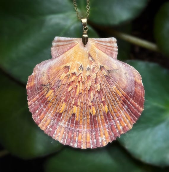 Large Flat Scallop Shell Necklaces, Seashell Necklaces, Flat Scallops, Beach, Ocean, Mermaid, Shell Jewelry, Seashell Jewelry, Made in Idaho