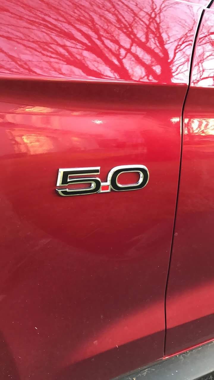 2015 Mustang GT Rear GT and 5.0s Vinyl Emblem Overlays - Etsy