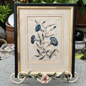 May include: A framed botanical print featuring blue flowers and green leaves. The print is in a black and gold frame, supported by a decorative cream-colored stand with floral accents. The artwork is displayed outdoors, surrounded by greenery.