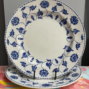 May include: Two white ceramic plates with a blue floral design. The plates have a white background with a blue floral pattern around the edges and center. The plates are stacked on top of each other.