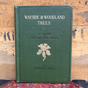 Könnte beinhalten: Ein grünes Hardcover-Buch mit dem Titel "Wayside & Woodland Trees" mit goldener Schrift und einem floralen Emblem. Das Buch ist ein Leitfaden für die britische Sylva, geschrieben von Edward Step. Das Buch liegt auf einer gemusterten Oberfläche.