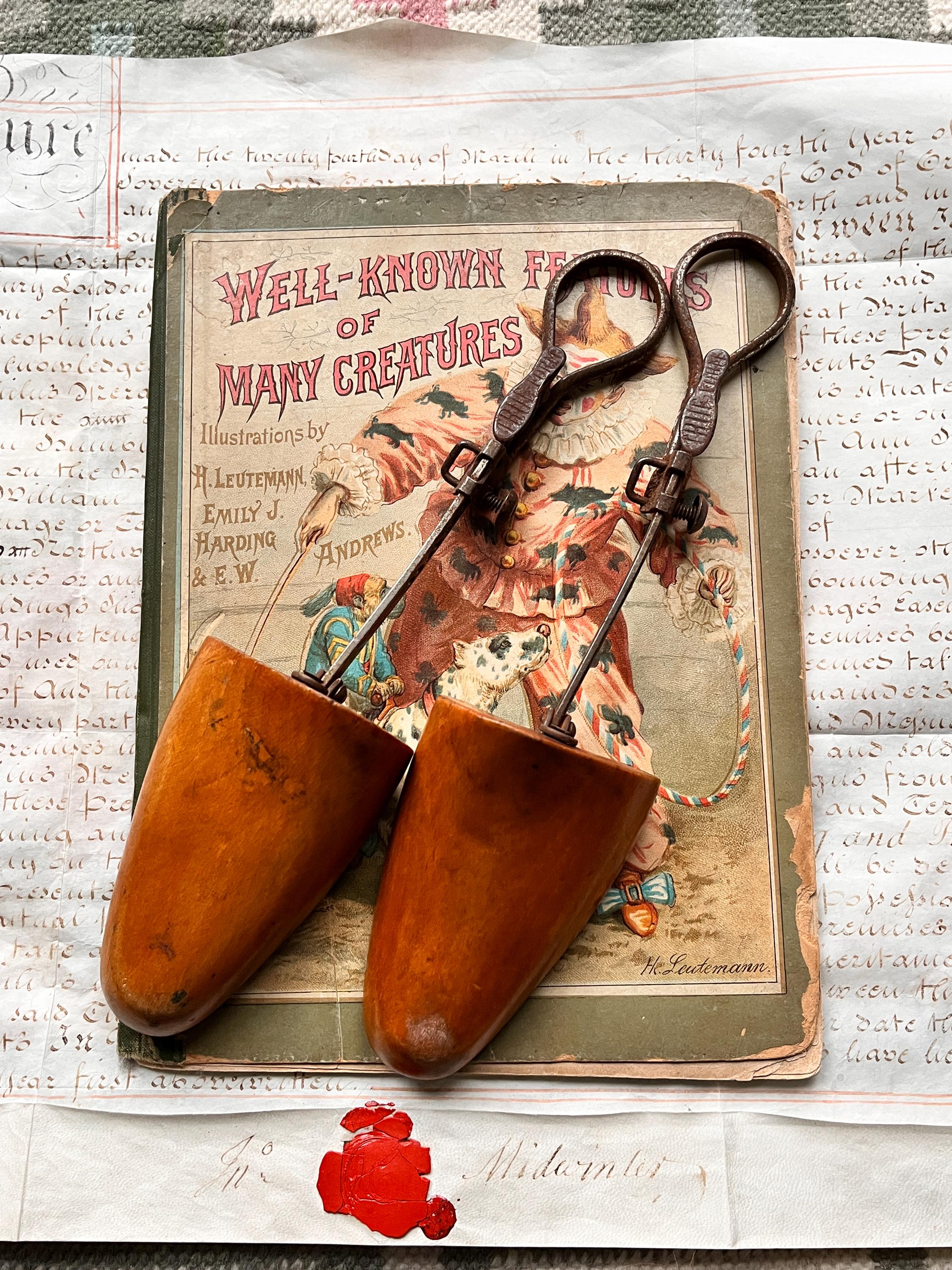 Wooden Shoe Trees UK