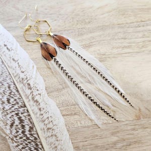 May include: A pair of feather earrings with gold-colored hexagonal accents. The earrings feature white feathers with brown and black accents. A large feather with brown and white patterns is on the left side of the image.