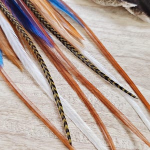 May include: Close-up of a collection of colorful feathers. The feathers are in shades of brown, white, blue, and orange. Some feathers have a braided design. The background is a light wood surface.