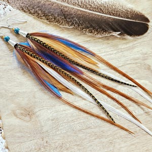 May include: A pair of long feather earrings with silver hooks and blue beads. The earrings feature brown, white, and blue feathers. A large feather rests in the background on a wooden surface.