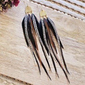 May include: A pair of long, black, white, and brown feather earrings with gold-toned metal accents.