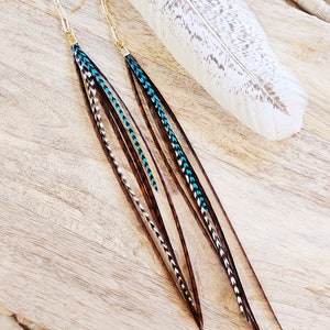 Feather Earrings, teal feather earrings, bohemian earrings, real feather earrings, long feather earrings, paperclip chain, brown feathers