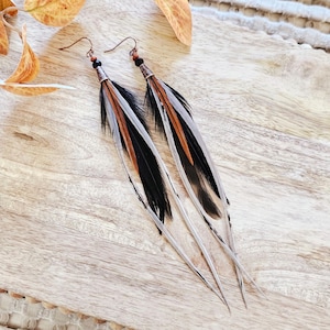 Black Feather Earrings: gray feather earring, long feather earring, real feather earring, boho autumn jewelry, black boho earring, boho gift