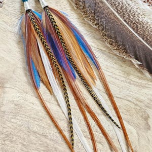 May include: Long feather earrings with silver hooks and teal beads. The earrings feature a mix of brown, white, blue, and gold feathers. A large brown and gray feather lies in the background. The earrings are on a wooden surface.