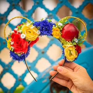 Snow White Mickey ears/ Princess Minnie ears / Poisoned apple ears / Seven Dwarfs / Floral Mickey Ears / Disney ears