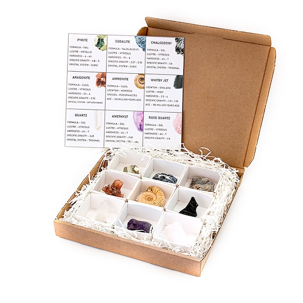 Rock Collection Gift Set | Assortment of Natural Fossils, Crystals, Rocks, Minerals & Tumbled Gemstone | Box and ID Card