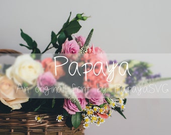 Papaya / Original Font - Digital Files - OTF, TTF, - handwriting, hand lettered, print, cute, dainty, simple, fonts, type, commercial use