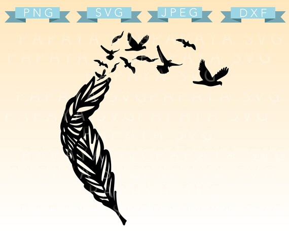 Download Feather to Birds Cut File SVG PNG DXF Cricut Sihouette | Etsy