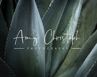 Könnte beinhalten: Nahaufnahme einer Sukkulentenpflanze mit stacheligen Blättern in Grün- und Blautönen. Der Text "Amy Christoph Photography" ist in zarter weißer Schrift über dem Bild geschrieben.