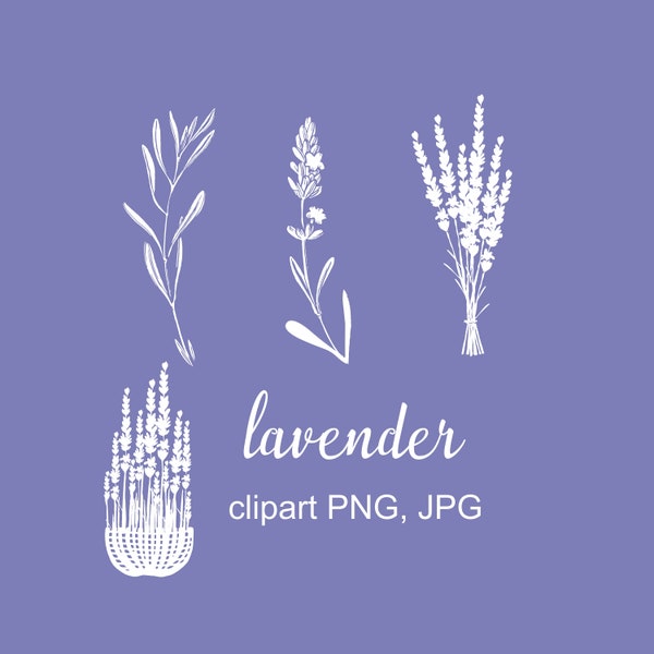 lavender clipart, Instant download lavender, Botanical illustration, Nature, Flower Clipart,  PNG, JPG files, Lavender basket clipart