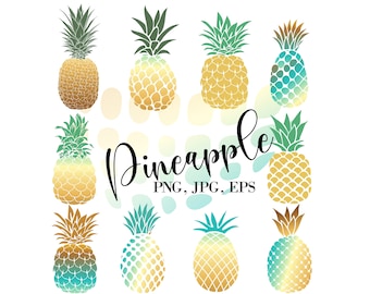 Pineapple clipart, fruit clip art, exotic fruit clip art, digital files, instant download, Pineapple illustration, Pineapple PNG,