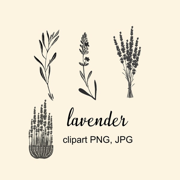 lavender clipart, Instant download lavender, Botanical illustration, Nature, Flower Clipart,  PNG, JPG files, Lavender basket clipart