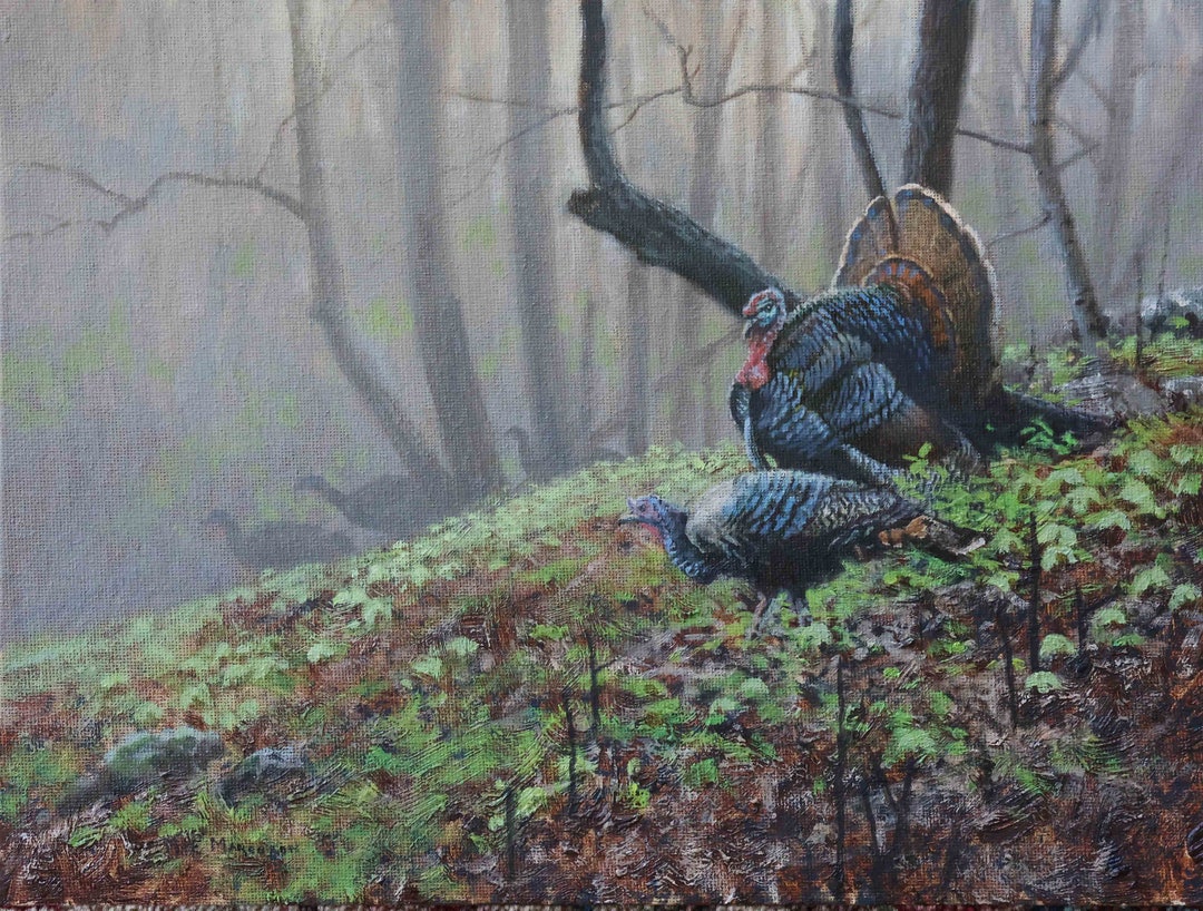 Spring Gobbler Original Oil Painting by Mark Marcuson - Etsy